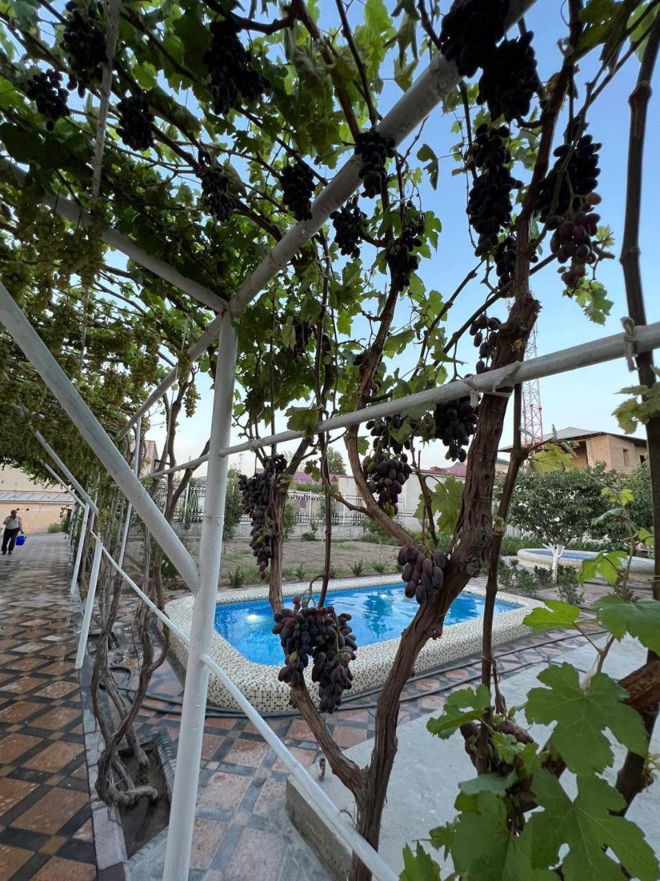 Samarabonu Hotel Samarkand Exteriér fotografie